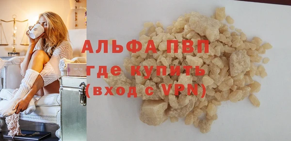 стафф Алексин