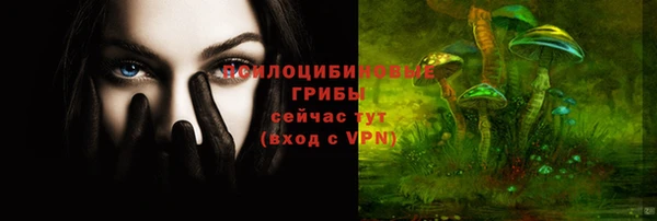 стафф Алексин