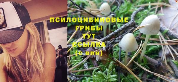 шишки Алзамай