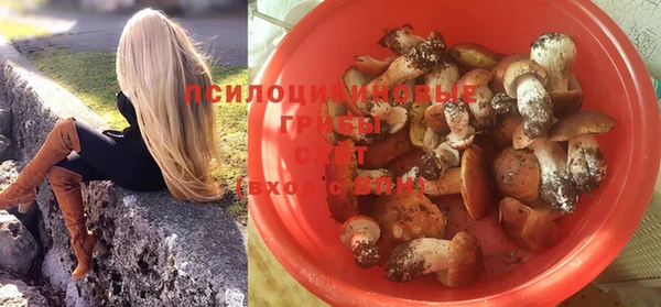 стафф Алексин