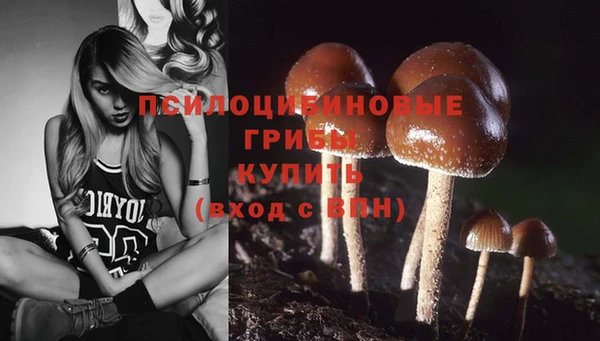шишки Алзамай