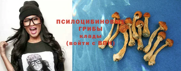 стафф Алексин