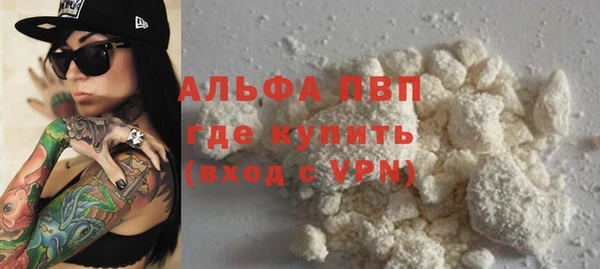 стафф Алексин